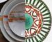 Decorative ceramic plates vs dishes styled in a refined interior